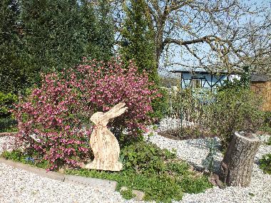 Apartamento de vacaciones en KUHLENDORF (Bas-Rhin)Casa de vacaciones