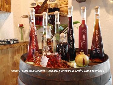 Cama y desayuno en Morbach-Wederath (Hunsr�ck - Nahe)Casa de vacaciones