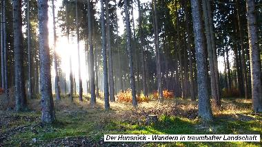 Cama y desayuno en Morbach-Wederath (Hunsr�ck - Nahe)Casa de vacaciones