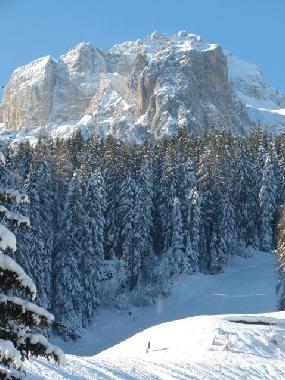 Apartamento de vacaciones en Padola di cadore (Belluno)Casa de vacaciones