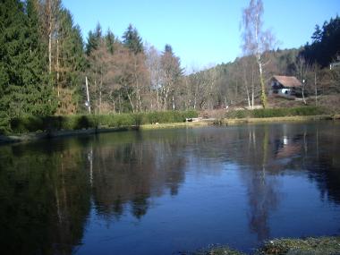 Chalet en LUTTENBACH (Haut-Rhin)Casa de vacaciones