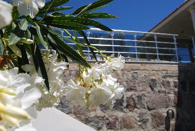 Casa de vacaciones en Cesme-Germiyanyalisi (Izmir)Casa de vacaciones