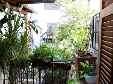 Apartamento de vacaciones en Rome (Roma)Casa de vacaciones