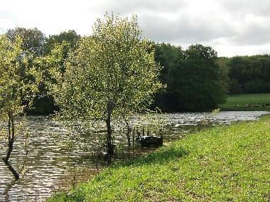 Chalet en Roumgoux (Cantal)Casa de vacaciones