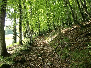 Chalet en Roumgoux (Cantal)Casa de vacaciones