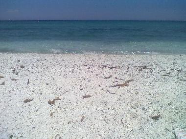 Casa de vacaciones en Stintino (Sassari)Casa de vacaciones