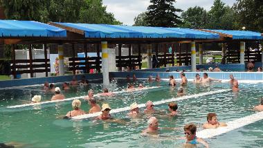 Apartamento de vacaciones en Zalakaros (Zala)Casa de vacaciones