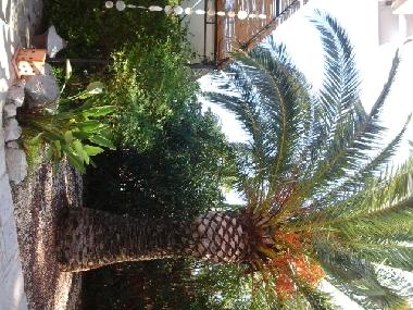 Casa de vacaciones en Peiscola  (Castelln / Castell)Casa de vacaciones