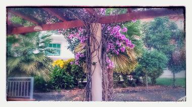 Apartamento de vacaciones en SantaMaria (Sal)Casa de vacaciones