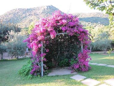 Villa en Torre delle Stelle (Cagliari)Casa de vacaciones
