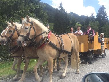 Apartamento de vacaciones en Wildschnau (Tiroler Unterland)Casa de vacaciones