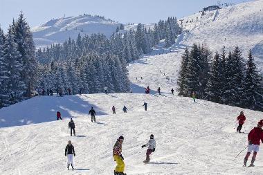 Apartamento de vacaciones en Wildschnau (Tiroler Unterland)Casa de vacaciones