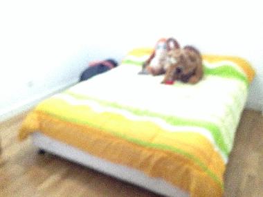 Apartamento de vacaciones en Hostalric (Girona)Casa de vacaciones