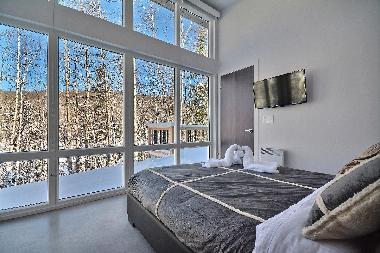 Chalet en la conception (Quebec)Casa de vacaciones