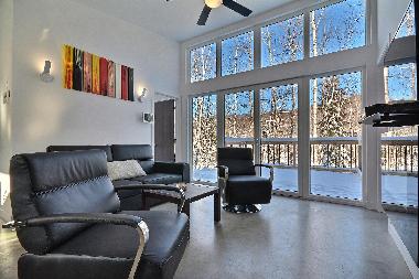 Chalet en la conception (Quebec)Casa de vacaciones