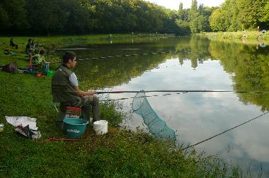 Casa de vacaciones en Castillon la Bataille (Gironde)Casa de vacaciones