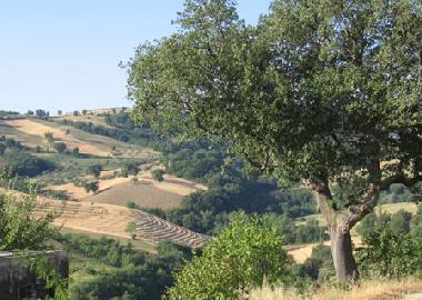 Apartamento de vacaciones en Montebello di Bertona (Pescara)Casa de vacaciones