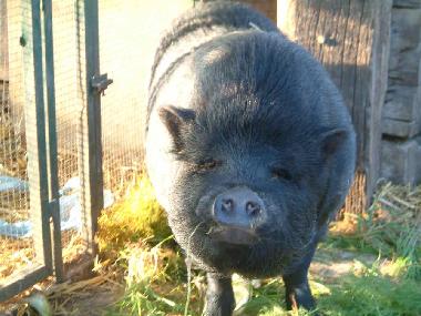 Apartamento de vacaciones en Tarquinia (Viterbo)Casa de vacaciones