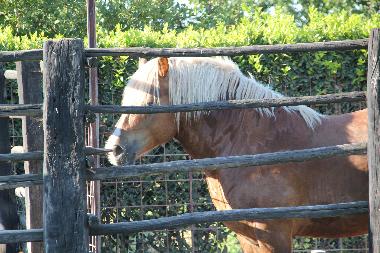 Apartamento de vacaciones en Tarquinia (Viterbo)Casa de vacaciones