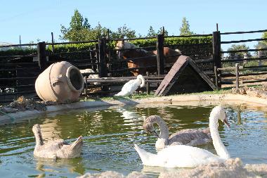 Apartamento de vacaciones en Tarquinia (Viterbo)Casa de vacaciones