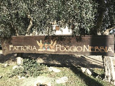 Apartamento de vacaciones en Tarquinia (Viterbo)Casa de vacaciones