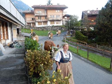 Apartamento de vacaciones en Wengen (Wengen - Jungfrau)Casa de vacaciones