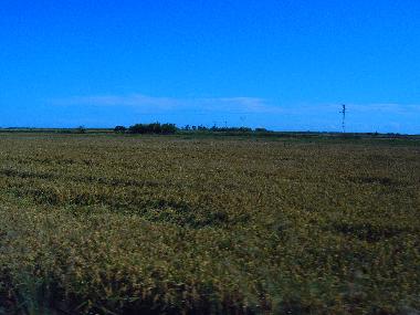 Casa de vacaciones en Deltebre/Riumar (Tarragona)Casa de vacaciones