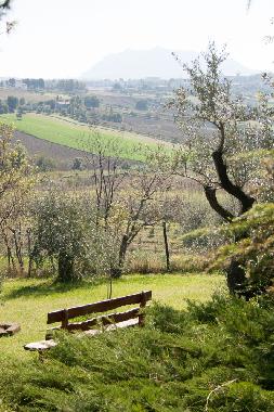 Cama y desayuno en Rimini (Rimini)Casa de vacaciones