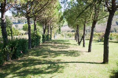 Cama y desayuno en Rimini (Rimini)Casa de vacaciones