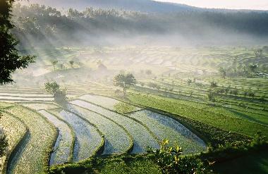 Villa en Legian  (Bali)Casa de vacaciones
