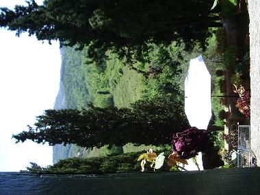 Cama y desayuno en Scandicci (Firenze) (Firenze)Casa de vacaciones