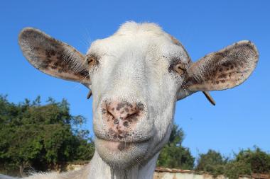 Casa de vacaciones en Popovo (Turgovishte)Casa de vacaciones