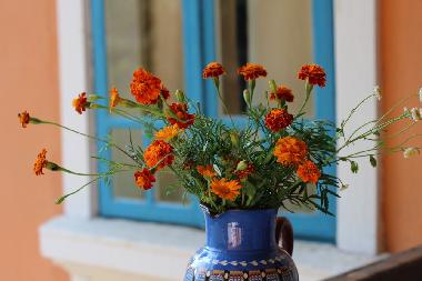 Casa de vacaciones en Popovo (Turgovishte)Casa de vacaciones