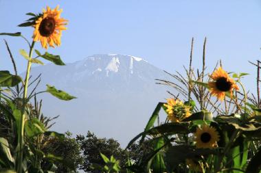 Cama y desayuno en Moshi (Kilimanjaro)Casa de vacaciones