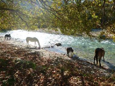 Casa de vacaciones en Plataria (Thesprotia)Casa de vacaciones