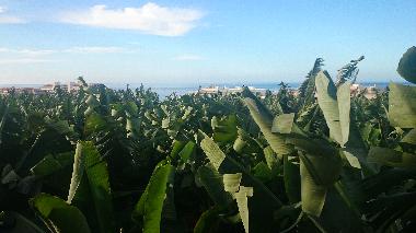 Casa de vacaciones en Puerto Naos (La Palma und El Hierro)Casa de vacaciones