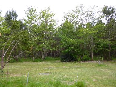 Casa de vacaciones en BOOS (Landes)Casa de vacaciones