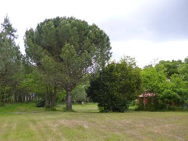 Casa de vacaciones en BOOS (Landes)Casa de vacaciones