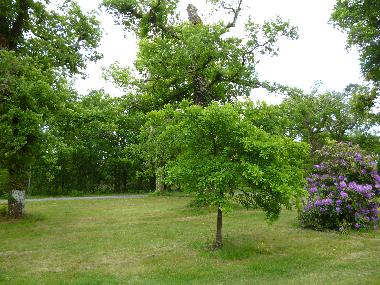Casa de vacaciones en BOOS (Landes)Casa de vacaciones