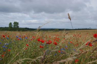 Casa de vacaciones en Walcourt (Wallonia)Casa de vacaciones