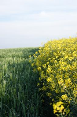 Casa de vacaciones en Walcourt (Wallonia)Casa de vacaciones