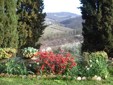 Cama y desayuno en Scandicci (Firenze) (Firenze)Casa de vacaciones