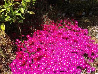 Apartamento de vacaciones en BENAOJAN (Mlaga)Casa de vacaciones