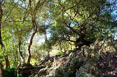 Villa en Sant Lloren des Cardassar (Mallorca)Casa de vacaciones