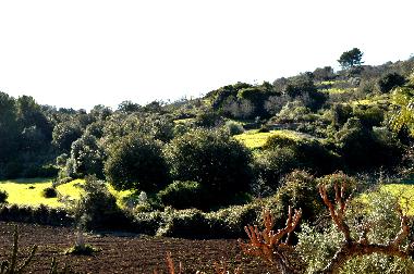 Villa en Sant Lloren des Cardassar (Mallorca)Casa de vacaciones