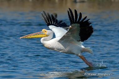 Casa de vacaciones en Somova (Tulcea)Casa de vacaciones