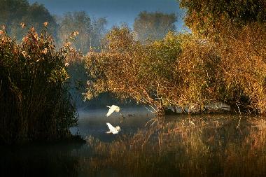 Casa de vacaciones en Somova (Tulcea)Casa de vacaciones