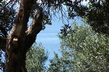 Apartamento de vacaciones en Dubrovnik (Dubrovacko-Neretvanska)Casa de vacaciones