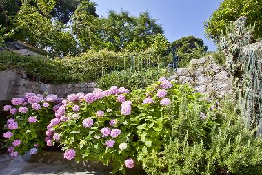 Apartamento de vacaciones en Dubrovnik (Dubrovacko-Neretvanska)Casa de vacaciones