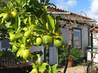 Apartamento de vacaciones en Santa Margarida da Serra (Alentejo Litoral)Casa de vacaciones